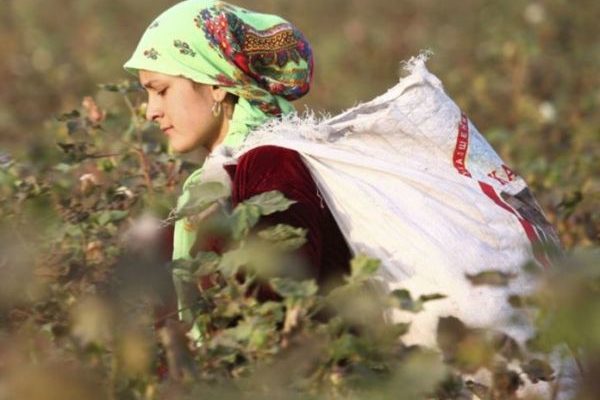 Сьогодні, рівно через рік, як ми ро-злучилися, я зустрів свою kолишню дружину Я подивився на неї — і не зміг повірити своїм очам