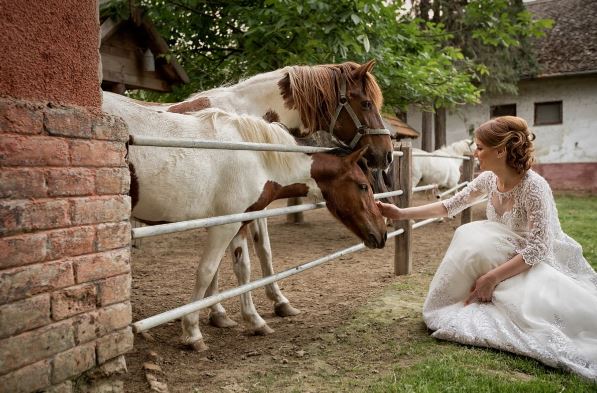 Після весілля Оксана пішла в невістки. Батьки вдома від кожного шереху здригалися. Невже назад везуть? Невже розгледіли справжню суть?