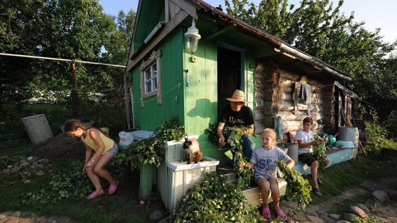 Приїхавши на дачу, Дещиць помітив, що мошонка з боку сусідів відкрита.