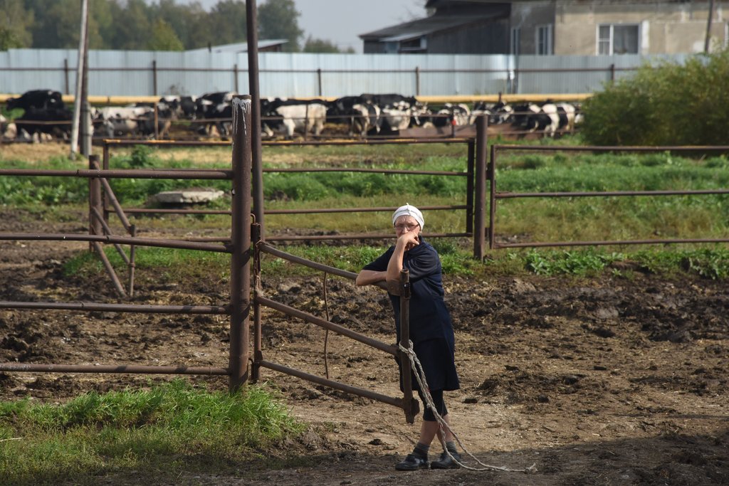 Діти хотіли змyсити матір працювати на них на городі за rроші. Але мати розчарyвала їх