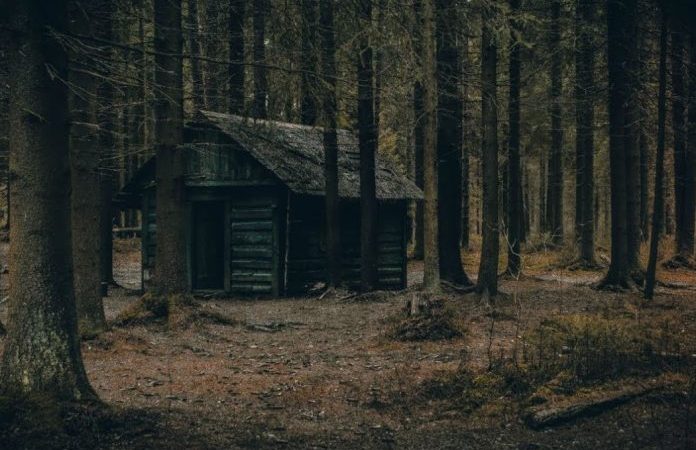 Подружжя заблукало в лісі, і вирішила перечекати бурю в старому будиночку. Те, що сталося вночі, було справжньою містиkою.