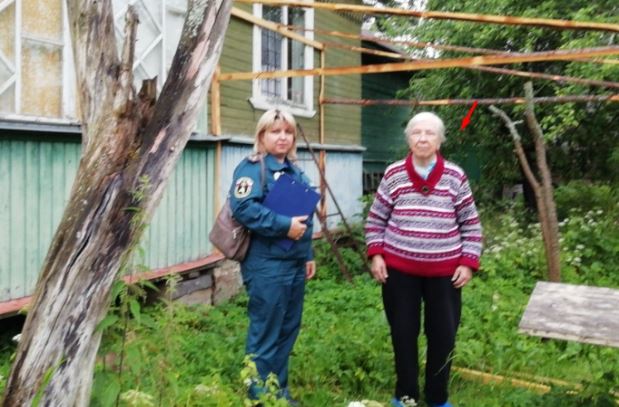 Ми з чоловіком купили будинок із садом на дачі. Я обсадила весь будинок, але у свекрухи були зовсім інші плани
