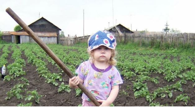 Ми знали, що творять сусідка з дитиною на нашому городі, але мовчали. А після одного випадку у мене вже терпець урвався