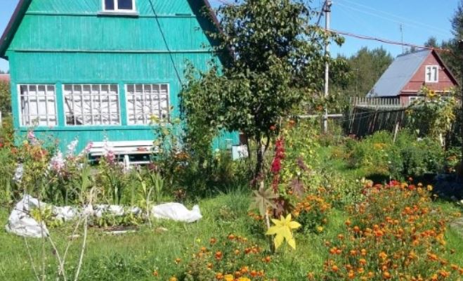 Коли мені зателефонувала тітка, я здивувалася, тому що ми роками не спілкувалися, а дізнавшись про причину її дзвінка, я ледь не луснула від люті.