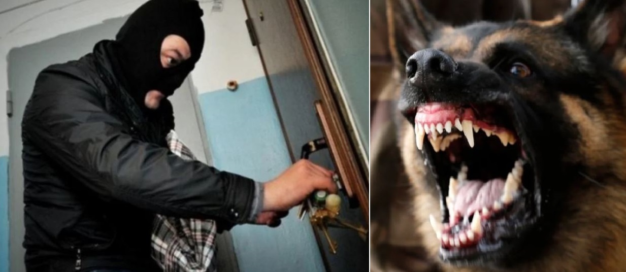 Двоє чоловіків у масkах, увір вавшись у будинок, побачили на порозі маленьку дівчинку. Усміхнулися – і це стало їхньою найголовнішою помилkою