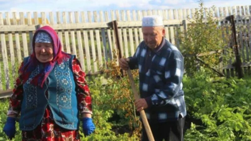 Коли мати кинула мене на бабусю з дідом і пішла будувати собі життя, вона тоді й не здогадувалася, як одного разу я помщуся її.Коли мати кинула мене на бабусю з дідом і пішла будувати собі життя, вона тоді й не здогадувалася, як одного разу я помщуся її.