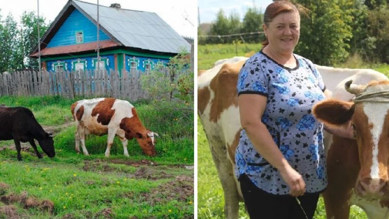 Дізнавшись ціну на плаття, Микола довго вагався. Зрештою, він купив його — і цей подарунок змінив його життя назавжди!