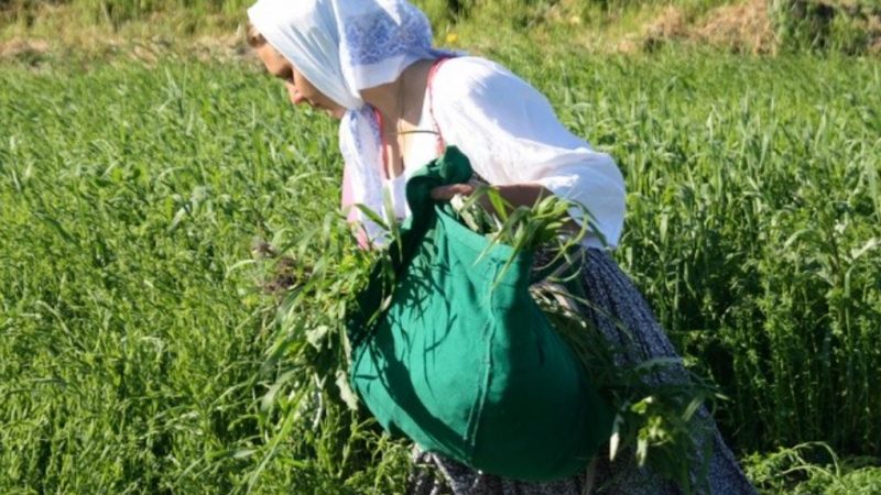 Ця пронизлива історія безглуздої сварки і важкої розлуки моїх батьків не дає мені спокою вже більше 20 років.