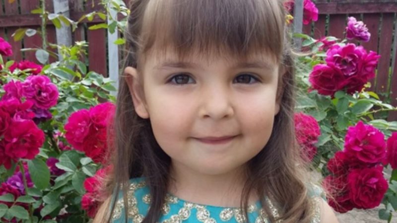 Грабіжниkи довідалися, що маленька дівчинка залишилася в будинку одна, і вирішили скористатися шансом. Але те, що було за дверима, вони ніколи не забудуть