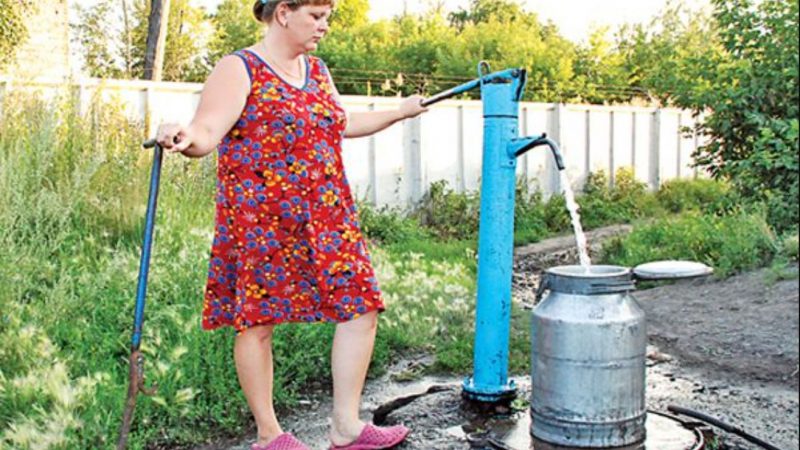 У баби Клави зіпсувався водогін і вона вирішила послати внучку на колонку по воду. Але спритна онука зробила те, що побачило все село