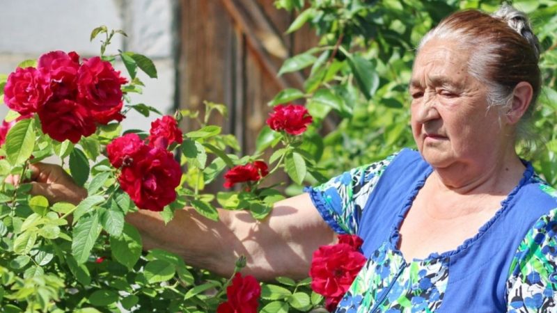 Бабусі сьогодні виповнилося 75 років. «Вже нікому не потрібна» — подумала вона, адже не приїхали ні син, ні дочка