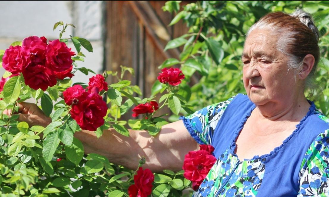 Бабусі сьогодні виповнилося 75 років. «Вже нікому не потрібна» — подумала вона, адже не приїхали ні син, ні дочка