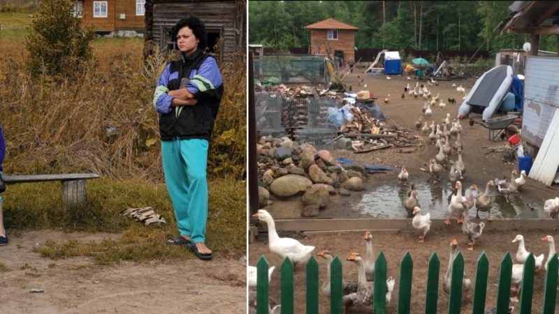 Дружина поїхала в село подбати про тещу, яка захво ріла. І раптом через час мені дзвонить теща і тремтячим голосом просить помчати туди