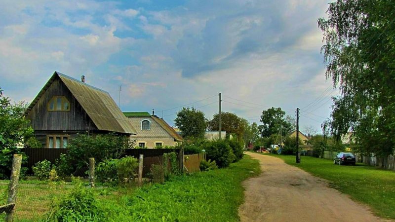 Свати купили ділянку поруч із нашою та попросили допомогти їм із городом. А під час урожаю, коли ми пішли зібрати овочі та фрукти, на городі нічого не виявилося. Це була справа рук »улюблених» сватів