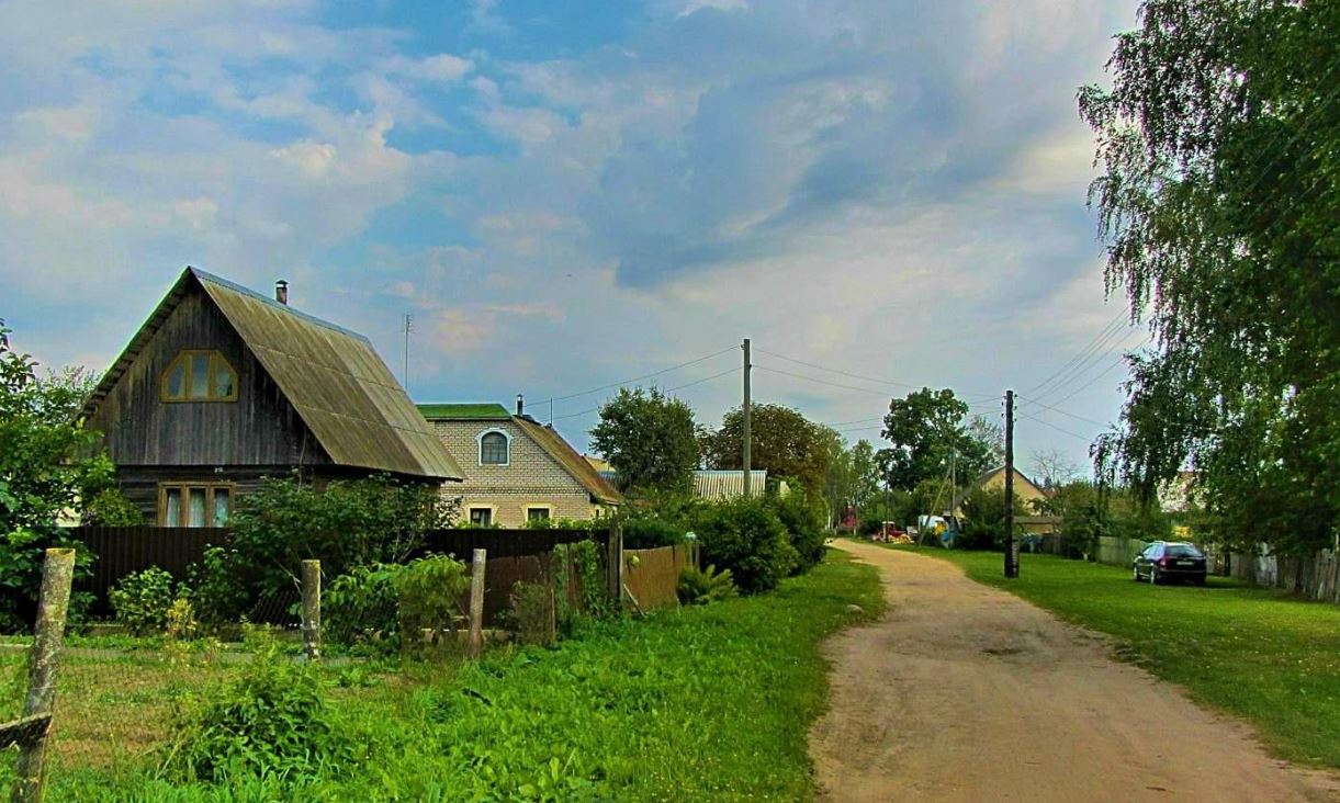 Свати купили ділянку поруч із нашою та попросили допомогти їм із городом. А під час урожаю, коли ми пішли зібрати овочі та фрукти, на городі нічого не виявилося. Це була справа рук »улюблених» сватів