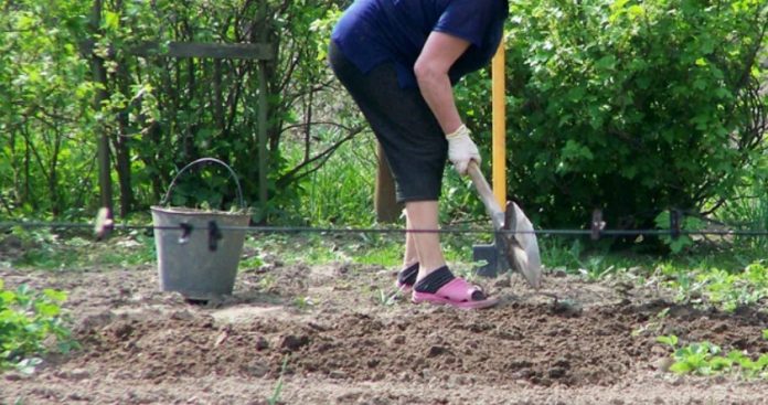 Якось приїхали до нас свекруха з невісткою разом з дітьми, і заявили, що залишаться у нас до кінця літа. Тут і все почалося