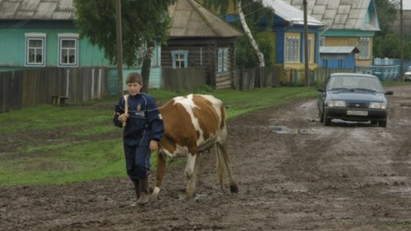 Сусідський хлопчик виріс і знайшов собі дружину. Після цього я помітила, що його мама якось не своя. А якось вона вирішила розповісти мені все