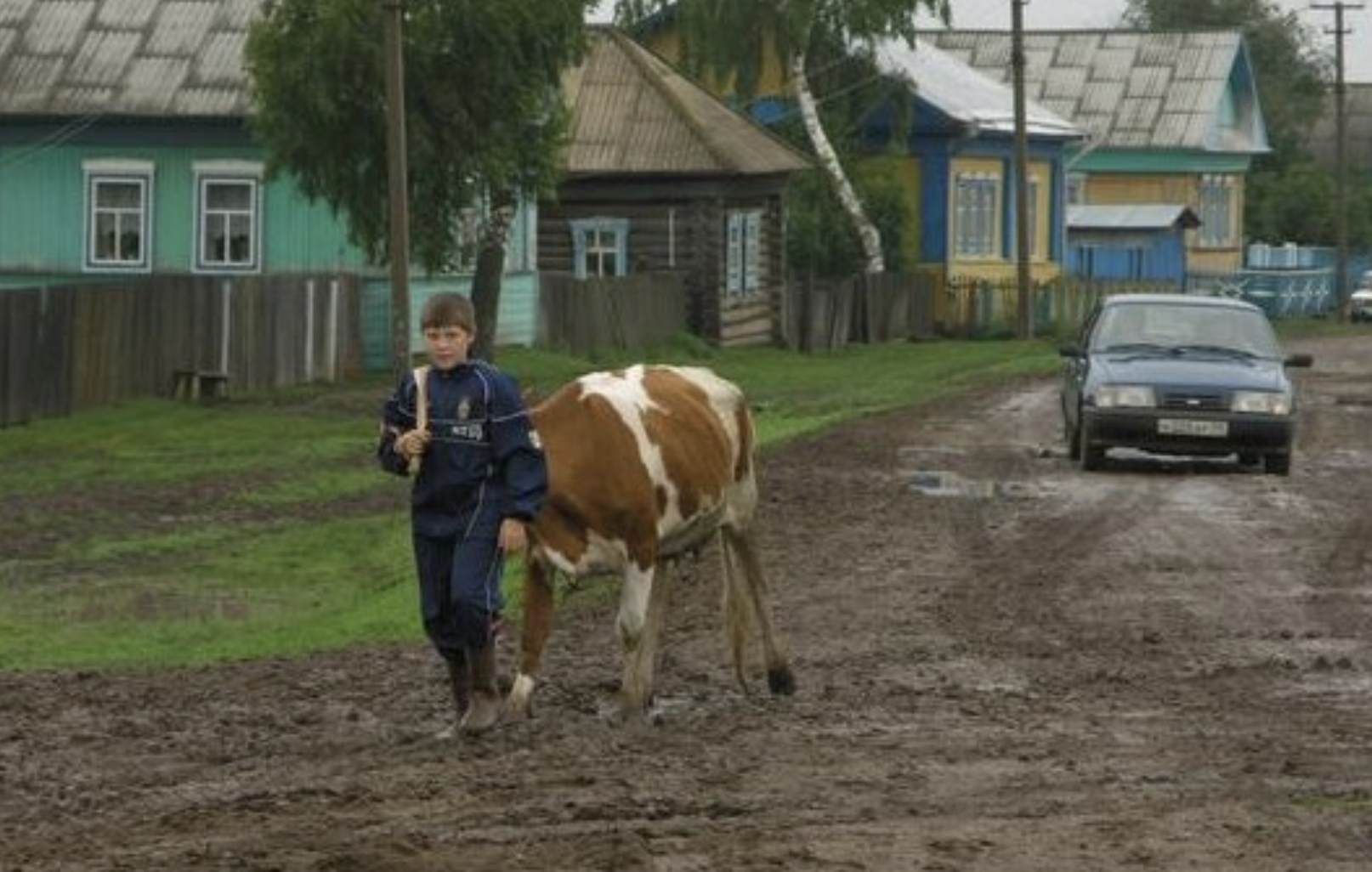 Сусідський хлопчик виріс і знайшов собі дружину. Після цього я помітила, що його мама якось не своя. А якось вона вирішила розповісти мені все